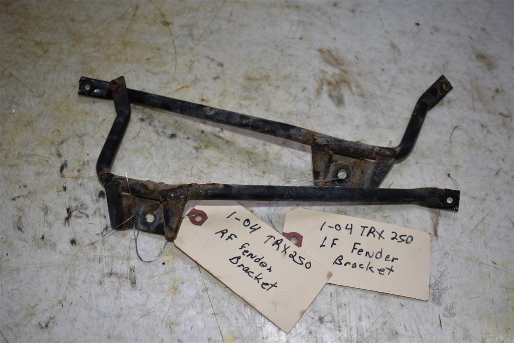 2004 Honda TRX 250 EX Front Fender Brackets