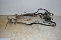 2007 Honda TRX 420 TM Wiring Harness 32100-HP4-010