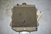 2007 Honda TRX 420 TM Radiator 19010-HP5-601