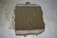 2007 Honda TRX 420 TM Radiator 19010-HP5-601