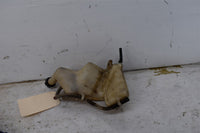 2004 Honda Foreman 500 FA Coolant Tank 19110-HN2-000