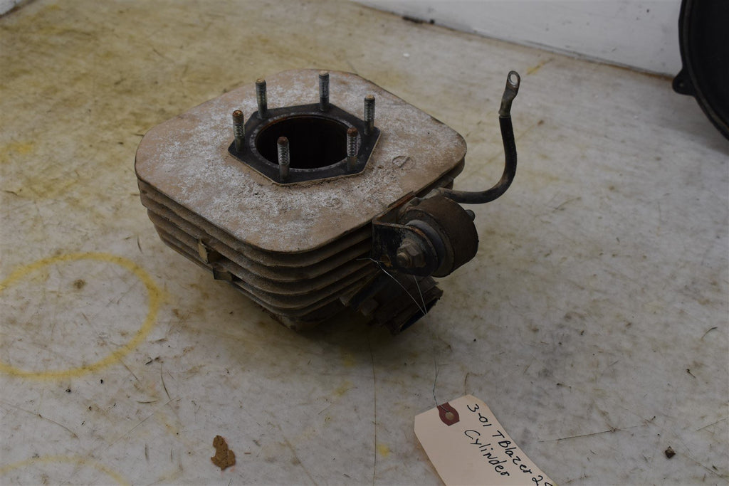 2001 Polaris Trail Blazer 250 Cylinder - CORE 3087049