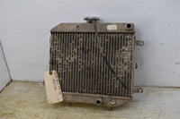 2007 Honda Foreman 500 FA Radiator 19010-HN2-A21