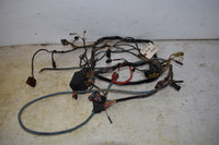 2007 Arctic Cat  Wiring Harness 0486-208