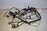 2007 Arctic Cat  Wiring Harness 0486-208