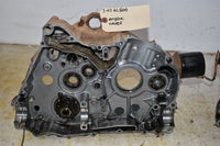 2007 Arctic Cat  Engine Cases 3402-763