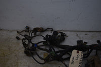 2009 Honda TRX 420 FA Wiring Harness 32100-HP7-A01