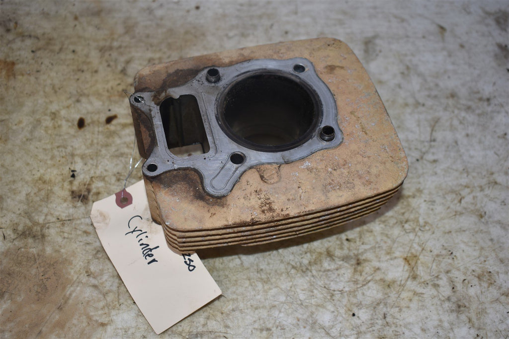 2006 Honda Recon 250 Cylinder - CORE 12100-HN6-000