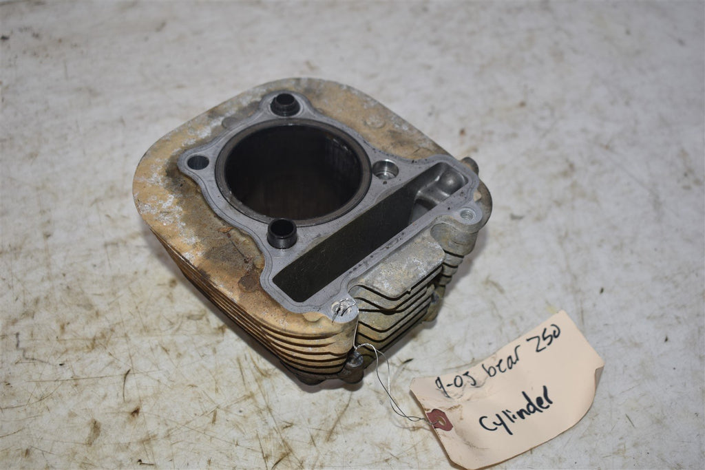 2003 Yamaha Bear Tracker 250 Cylinder CORE 4BD-11310-01-00