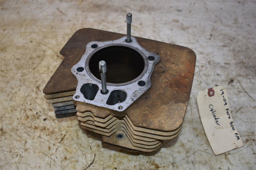 2009 Honda Foreman 500 FM Cylinder 12100-HP0-A00