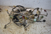 2009 Honda Foreman 500 FM Wiring Harness 32100-HP0-B81