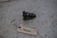 2009 Yamaha Grizzly 700 4x4 EPS Camshaft