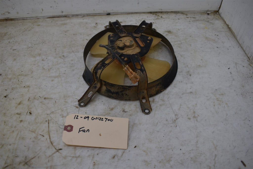 2009 Yamaha Grizzly 700 4x4 EPS Fan