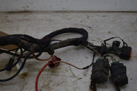 2006 Arctic Cat 700 EFI 4x4 SE Auto Wiring Harness 0486-189