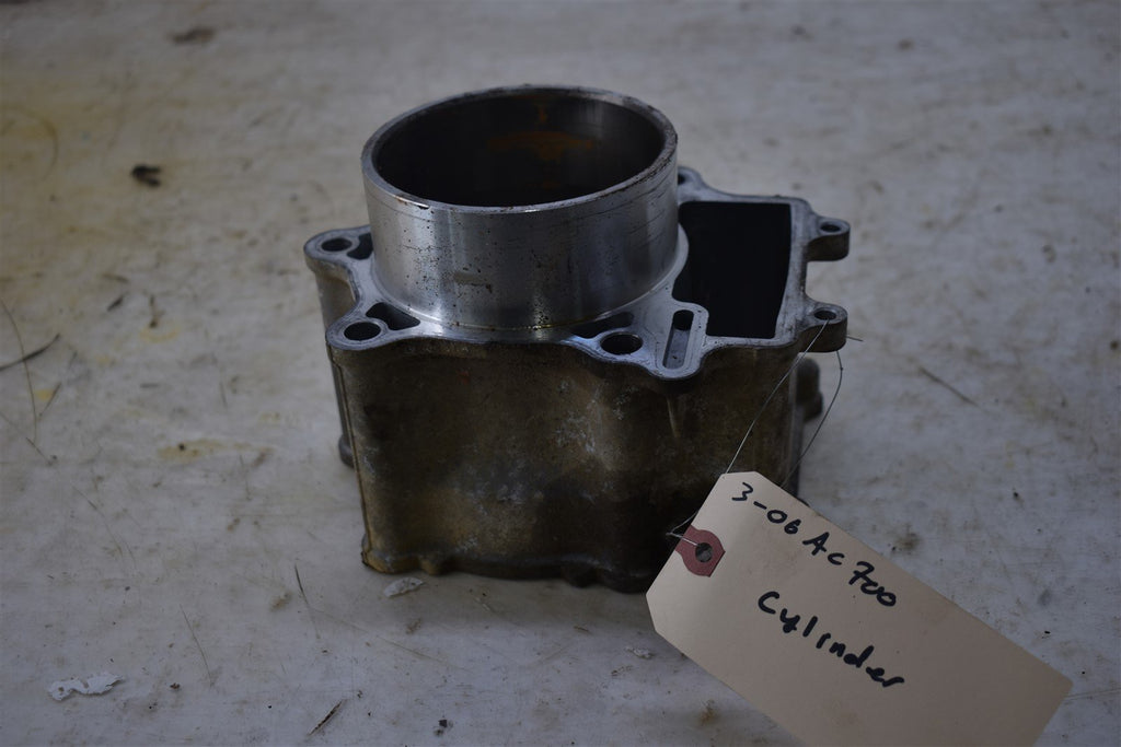 2006 Arctic Cat 700 EFI 4x4 SE Auto Cylinder CORE 3403-061