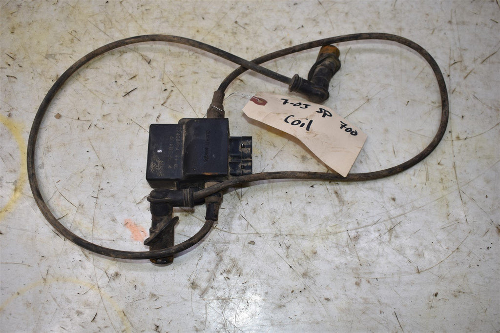 2003 Polaris Sportsman 700 4x4 CDI/ Coil 4010696