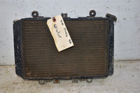 2001 Kawasaki Prairie 400 4x4 Radiator 39060-1150