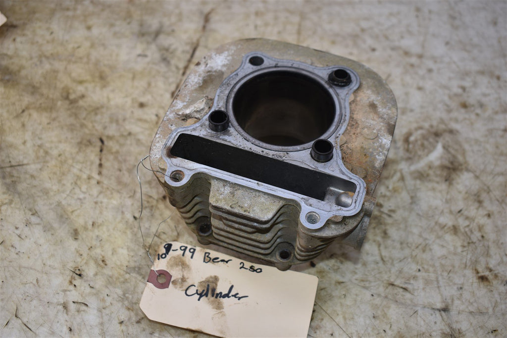 1999 Yamaha Bear Tracker 250 2WD Cylinder 4BD-11310-01-00