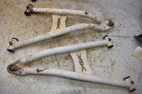 2015 Polaris Ranger XP 900 EPS Forward A Arms