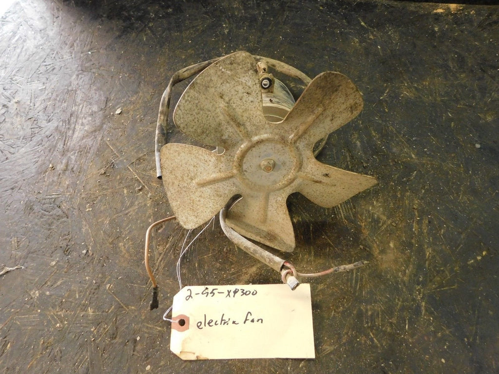 1995 Polaris Xpress 300 2x4 Fan