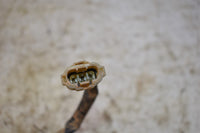 2016 Honda Recon 250 ES 2WD Headlight Harness 33130-HM8-B00