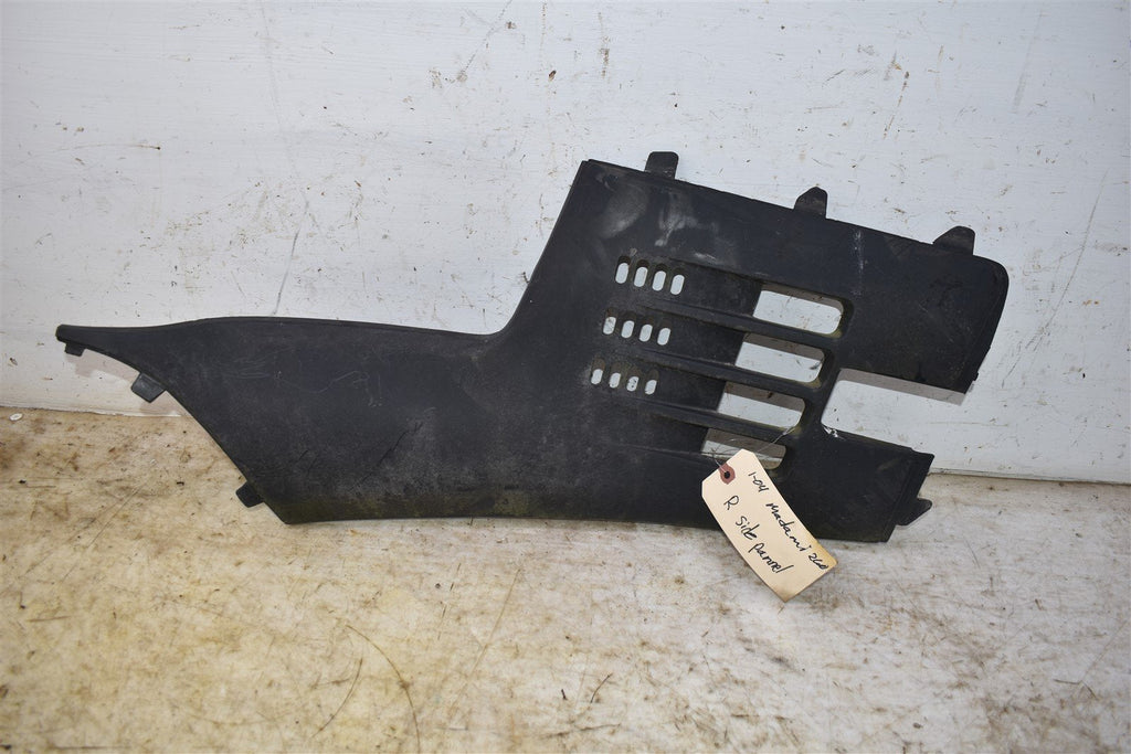 2004 Madami / Linhai Big Daddy 260 Right Side Panel