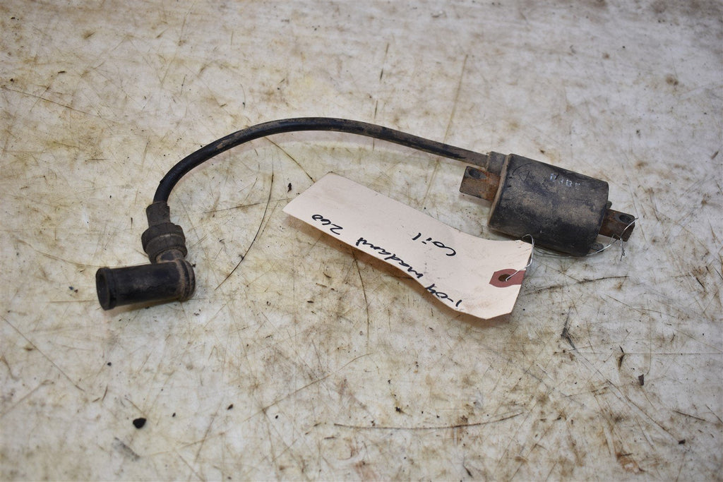 2004 Madami / Linhai Big Daddy 260 Coil