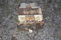 1999 Polaris Ranger 500 6x6 Gas Tank 5432764