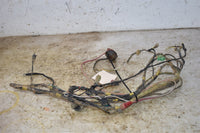 2009 Polaris Razor RZR 170 - Red  Wiring Harness 0454333