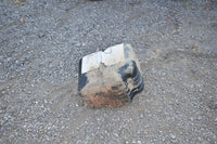 2010 Polaris Ranger 4x4 800 EFI NBU Gas Tank 2520864