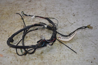2000 Yamaha Bear Tracker 250 2WD Wiring Harness4XE-82590-00-00