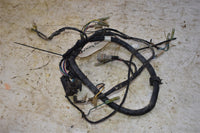 2000 Yamaha Bear Tracker 250 2WD Wiring Harness4XE-82590-00-00