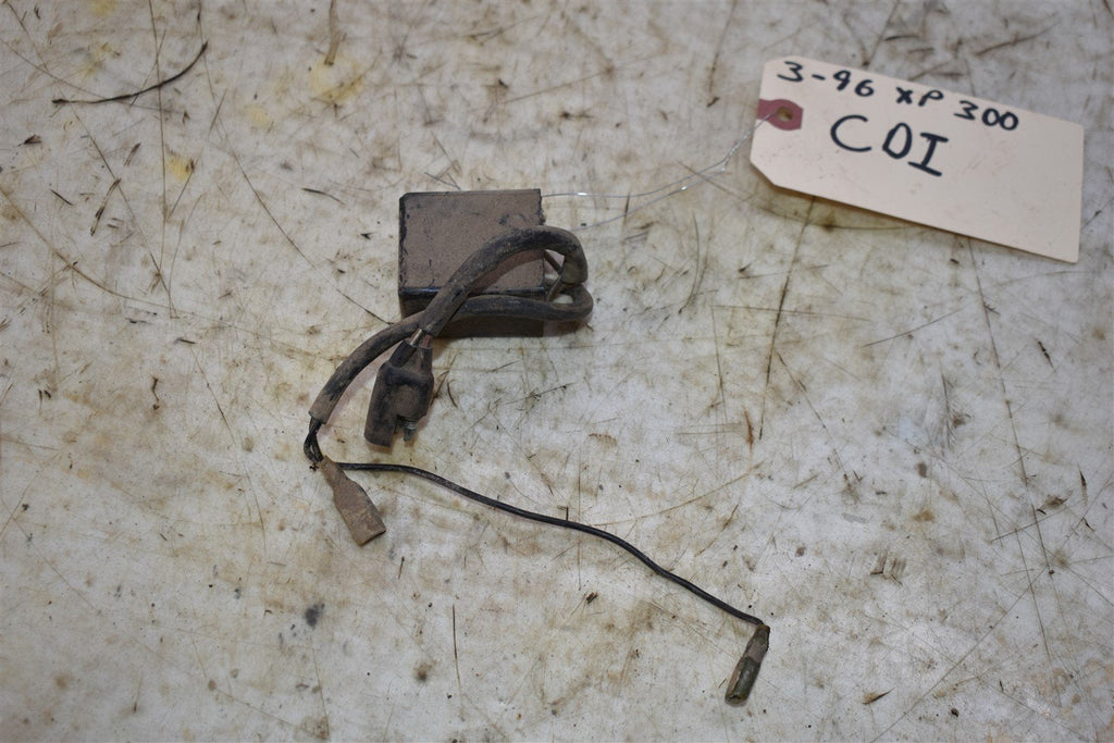 1996 Polaris Xplorer 300 CDI 3084820