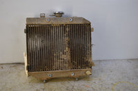 2002 Honda Foreman 500FA Radiator 19010-HN2-505