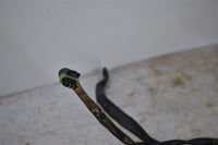 2002 Honda Foreman 500FA Headlight Harness 33130-HN2-010