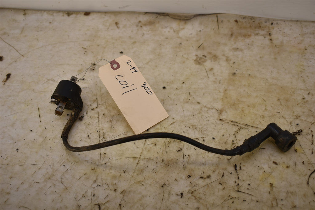 1994 Polaris 300 4x4 Coil 3083923