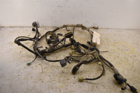 2006 Kawasaki Brute Force 750 4x4i  Wiring Harness 26031-0346