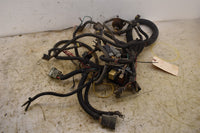 2008 Bad Boy Buggy XT Wiring Harness