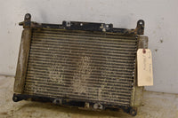 2006 Yamaha Rhino 660 4WD Radiator 5UG-E2461-00-00