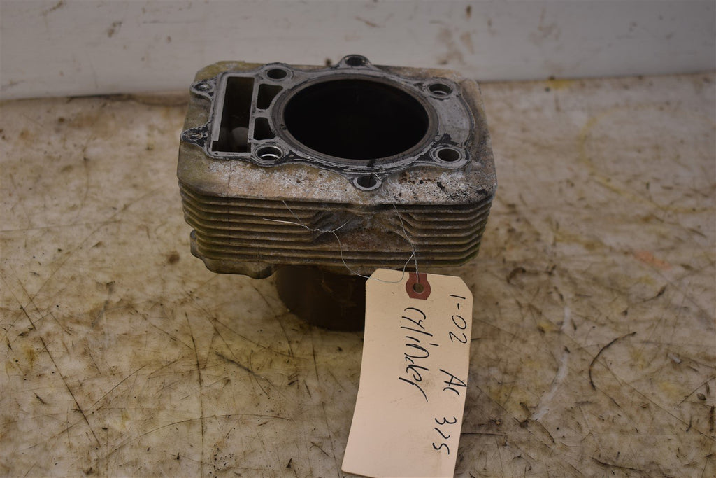 2002 Arctic Cat 375 2x4 Auto Cylinder 3402-578