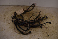 2000 Polaris Xpedition 425 Wiring Harness 2460696