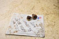 2002 Honda Rancher 350 FE 4WD Swingarm Bolts