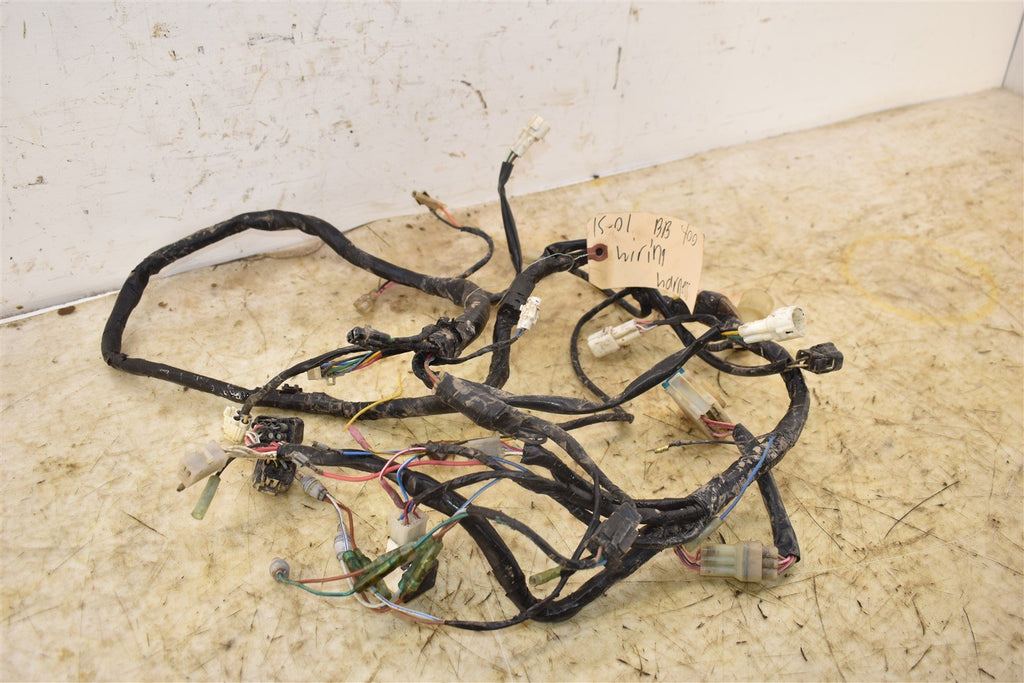 2001 Yamaha Big Bear 400 4x4 Wiring Harness - CORE 5FU-82590-00-00