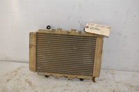 2007 Yamaha Grizzly 400 Radiator 5ND-E2460-01-00