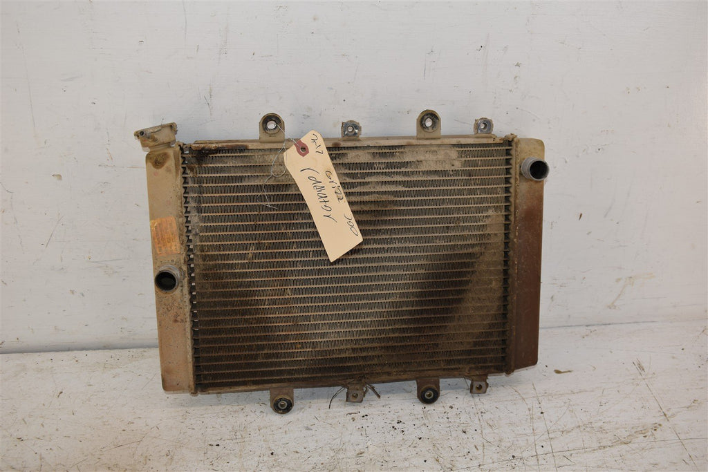 2017 Yamaha Grizzly 700 EPS 4WD Radiator B16-E2460-00-00