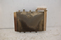 2017 Yamaha Grizzly 700 EPS 4WD Radiator B16-E2460-00-00
