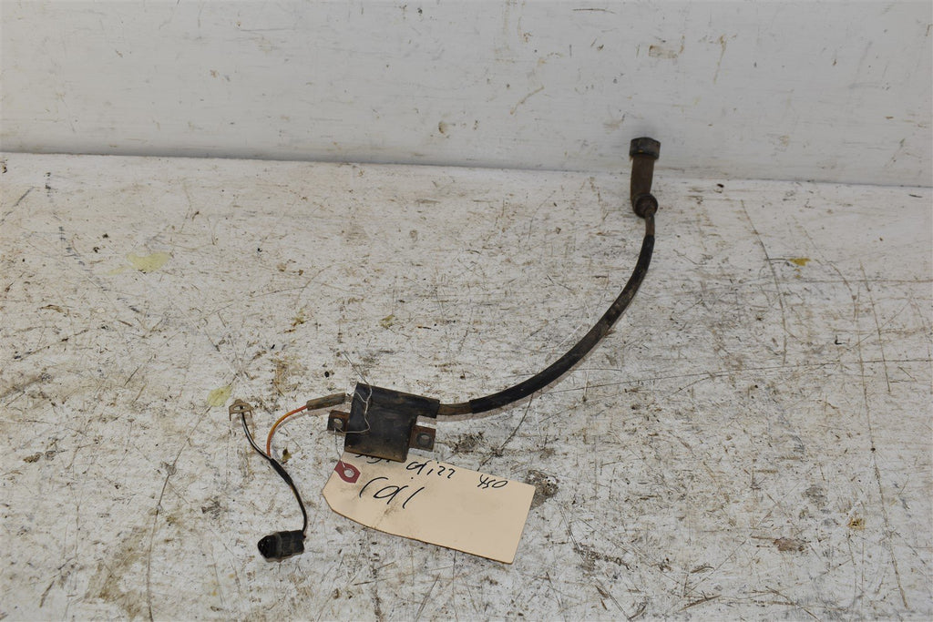 2007 Yamaha Grizzly 400 IRS Coil 3KJ-82310-10-00