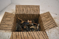 1999 Honda TRX450ES Bolts Lot