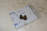 1998 Honda Foreman 450S Swing Arm Bolt