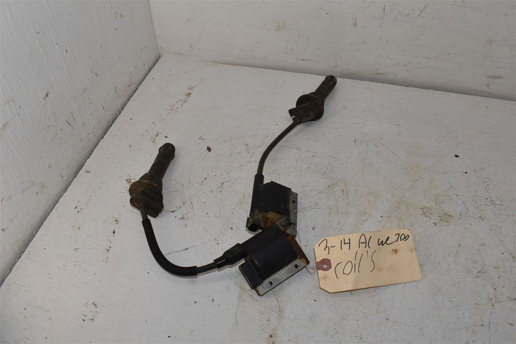 2015 Arctic Cat Wildcat Trail 700 Coils 0824-079